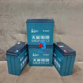 ắc quy xe điện 48V20ah thiên năng